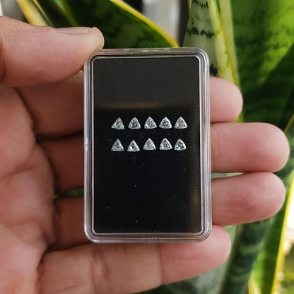 A hand holding a clear case of ten loose trillion-cut diamonds on a black pad, with green leaves behind. Representative stock.