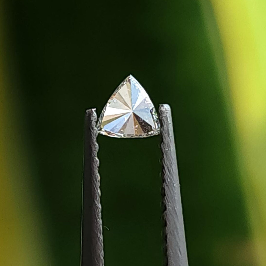 Pavilion view of a loose trillion-cut diamond held in tweezers, showing broad triangular facets against a green background. Representative stock.