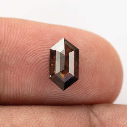 Dark brown Dutch marquise diamond standing upright on a fingertip, showing its elongated hexagonal outline and pointed ends.