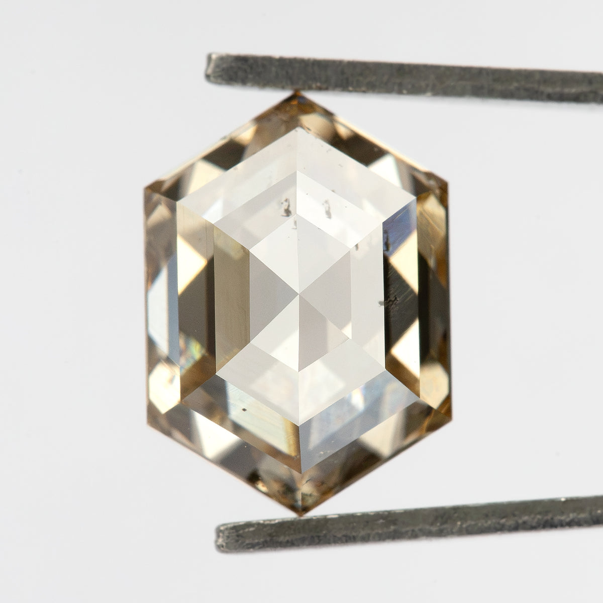 Full pavilion view held in tweezers. IGI-HEXA-5924-0195CT.