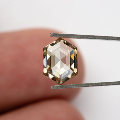 Alternate tweezers view with pale central reflections. IGI-HEXA-5924-0195CT.
