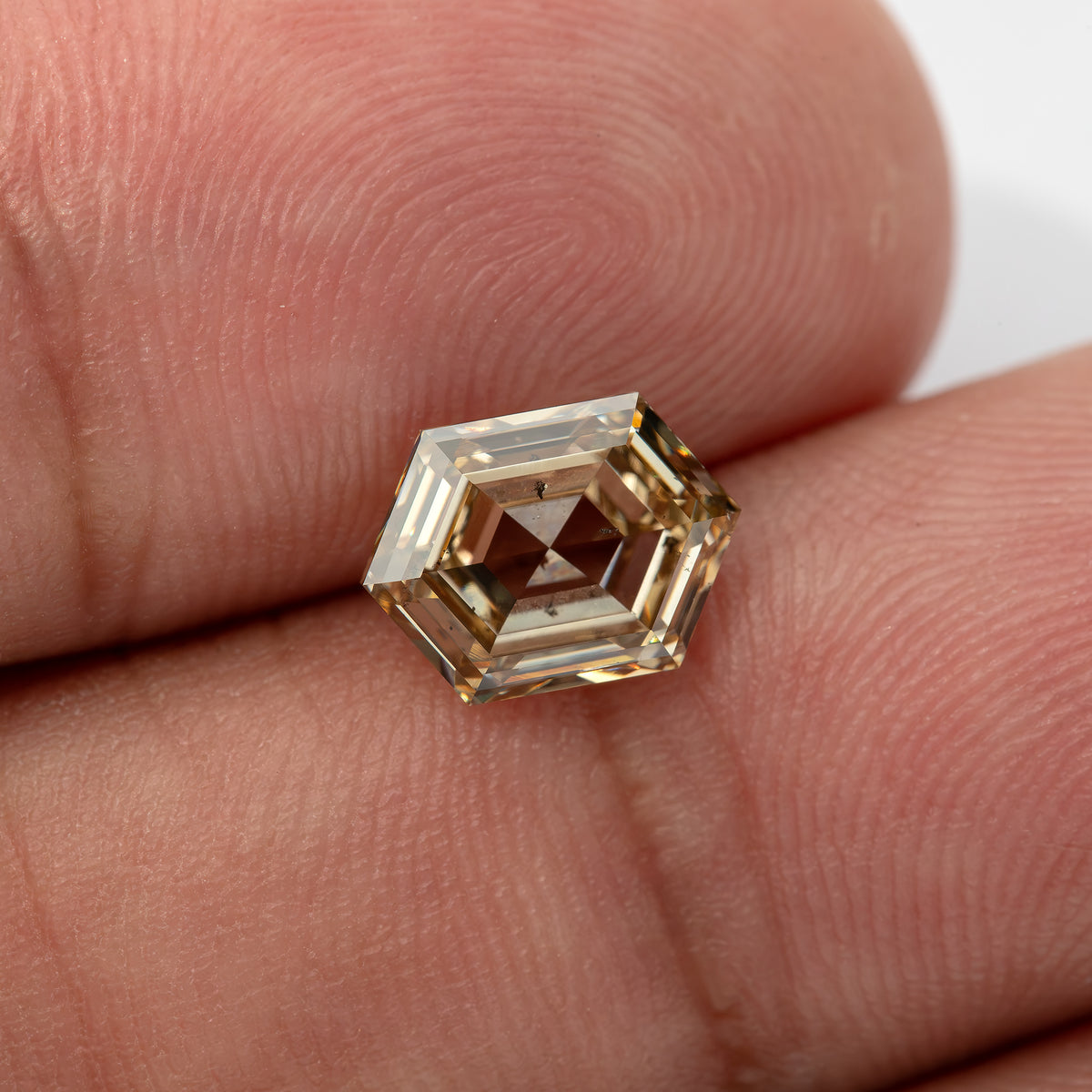 Horizontal hand-scale view showing outline and inclusions. IGI-HEXA-5924-0195CT.