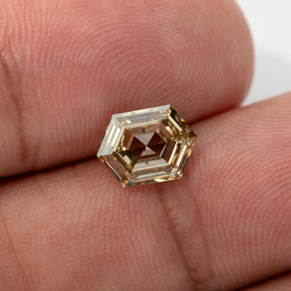 Horizontal hand-scale view showing outline and inclusions. IGI-HEXA-5924-0195CT.