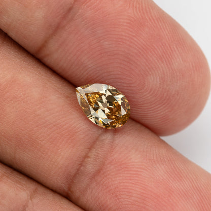 Angled face-up view on fingertips. IGI-PS-5923-0103CT.