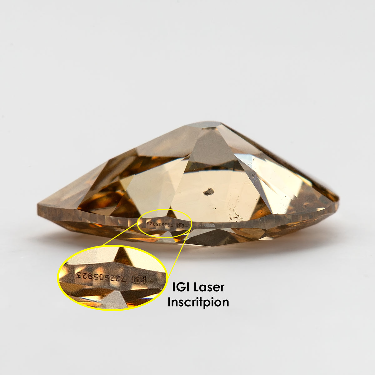 Annotated side profile and enlarged IGI laser inscription. IGI-PS-5923-0103CT.
