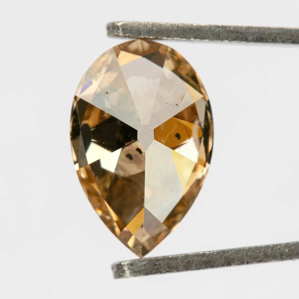 Close pavilion view in tweezers, with the point downward. IGI-PS-5923-0103CT.