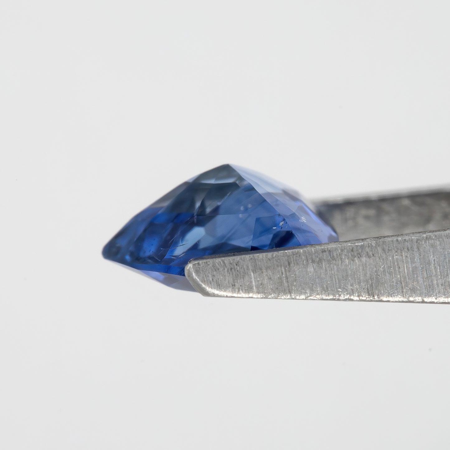 Vibrant Cornflower-to-Violet Blue Trillion Cut Sapphire | 1.07 Ct Unheated Natural Eye Clean Gem | Perfect for Rings or Pendants