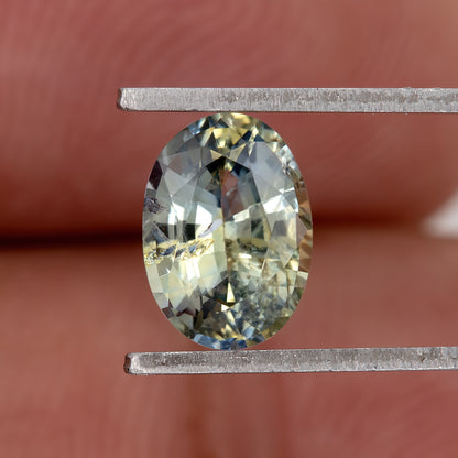 Champagne Yellow Blue Bicolor Sapphire | 1.05 Ct Natural Untreated Oval Cut Gem | Eye Clean Stone for Ring or Pendant | Fine Jewelry Use