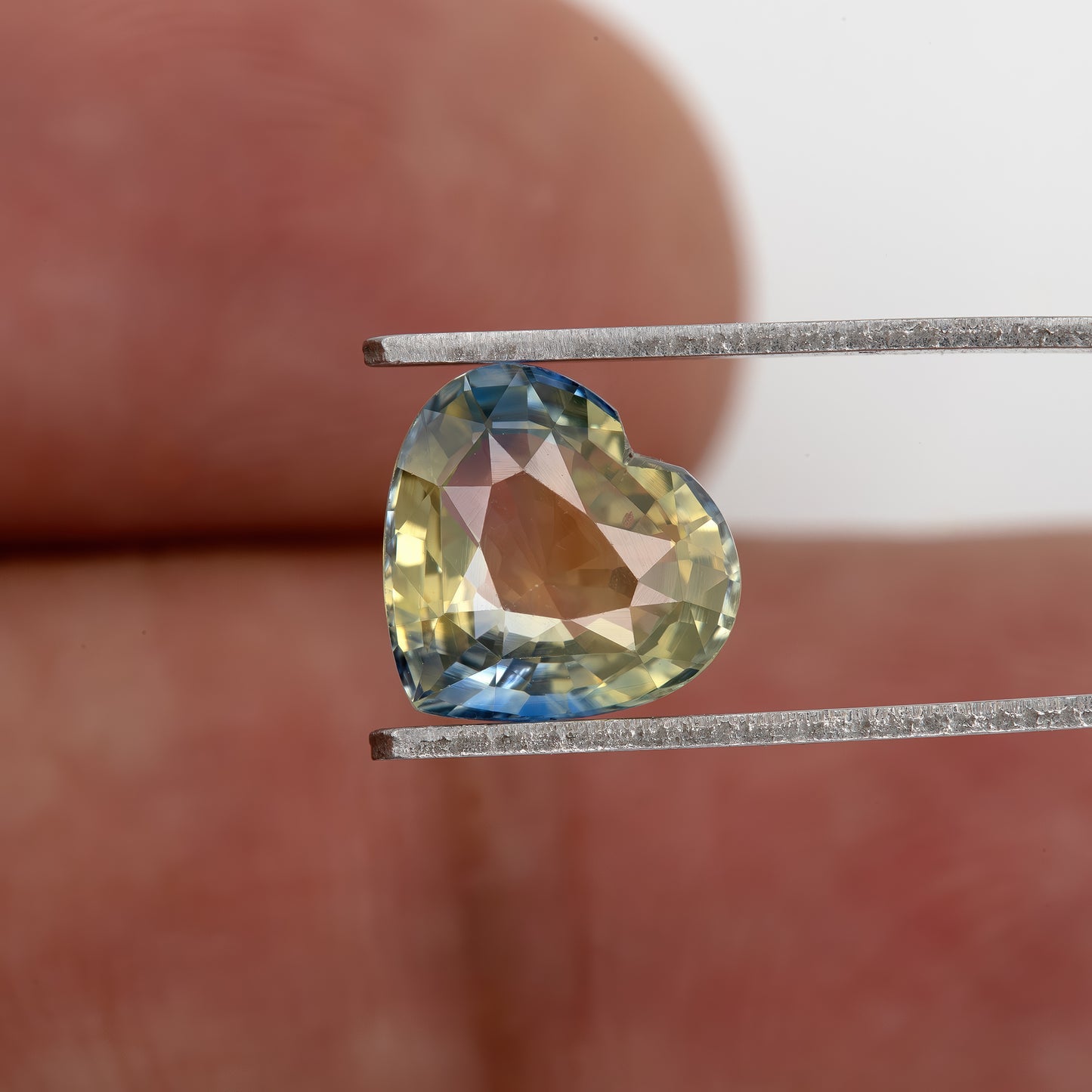 Champagne Yellow and Blue Sapphire | 2.21 Ct Heart Cut Unheated Gemstone | Bold Center Stone for Fine Ring or Pendant Jewelry
