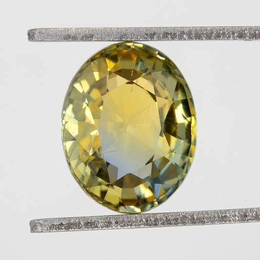 Champagne Yellow and Blue Sapphire | 2.26 Ct Oval Cut Unheated Natural Gemstone | Eye Clean Statement Sapphire for Luxury Ring or Pendant