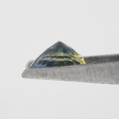 Blue and Champagne Yellow Sapphire | 1.47 Ct Oval Cut Unheated Natural Gemstone | Elegant Center Stone for Fine Jewelry or Rings