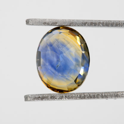 Blue Champagne Bicolor Sapphire | 1.90 Ct Natural Oval Cut Unheated Gemstone | Eye Clean Sapphire for Statement Jewelry & Rings