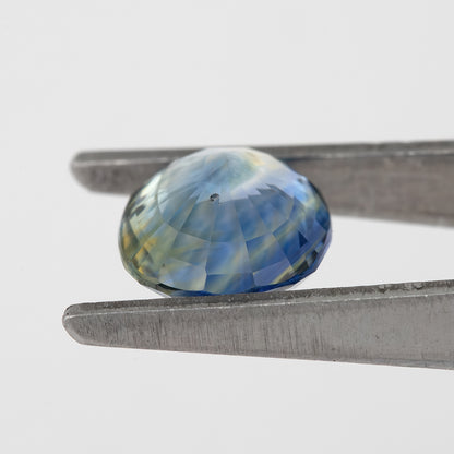 Muted Blue Champagne Bicolor Sapphire | 1.47 Ct Natural Unheated Oval Cut | Eye Clean Gemstone for Fine Jewelry & Rings