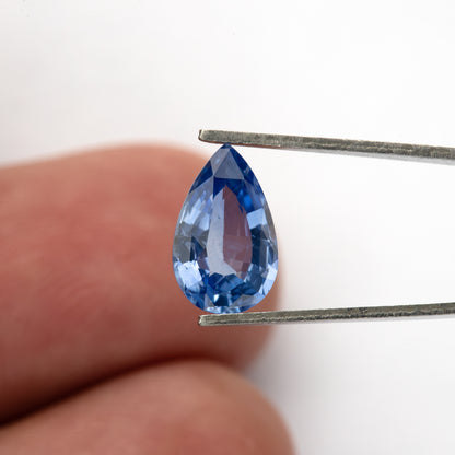 Full pear sapphire held vertically in tweezers in front of fingers for scale, showing a medium-light violet-blue center and vivid darker blue edge facets.