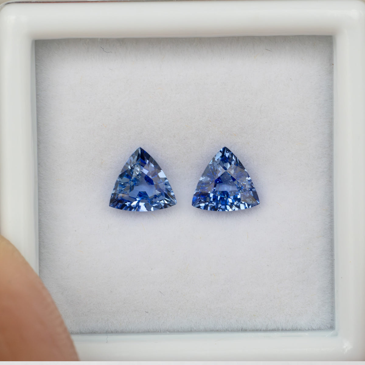 Two blue trillion-cut gemstones inside a white plastic gem display box held by a finger.