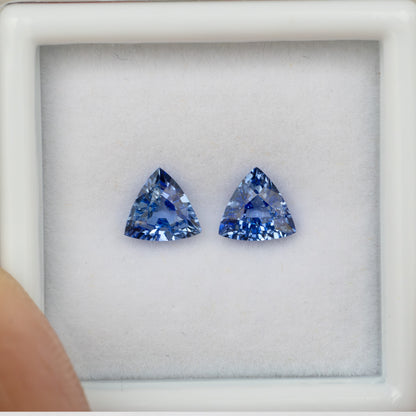 Two blue trillion-cut gemstones inside a white plastic gem display box held by a finger.
