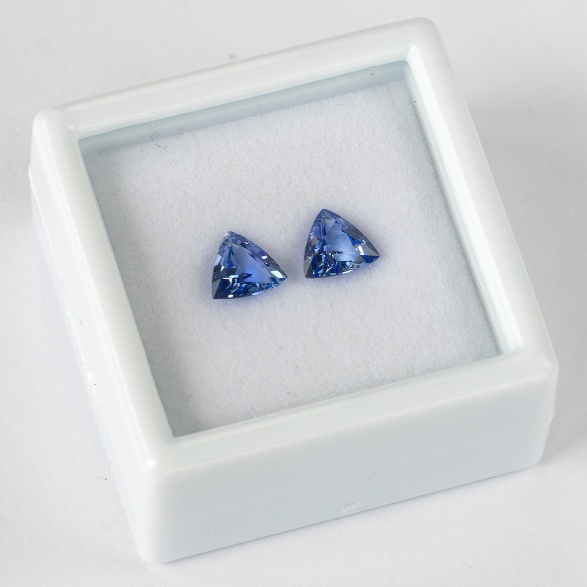 Two blue trillion-cut gemstones at an angle inside a white display box.
