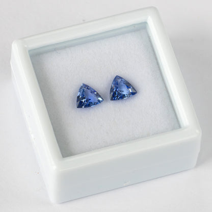 Two blue trillion-cut gemstones at an angle inside a white display box.