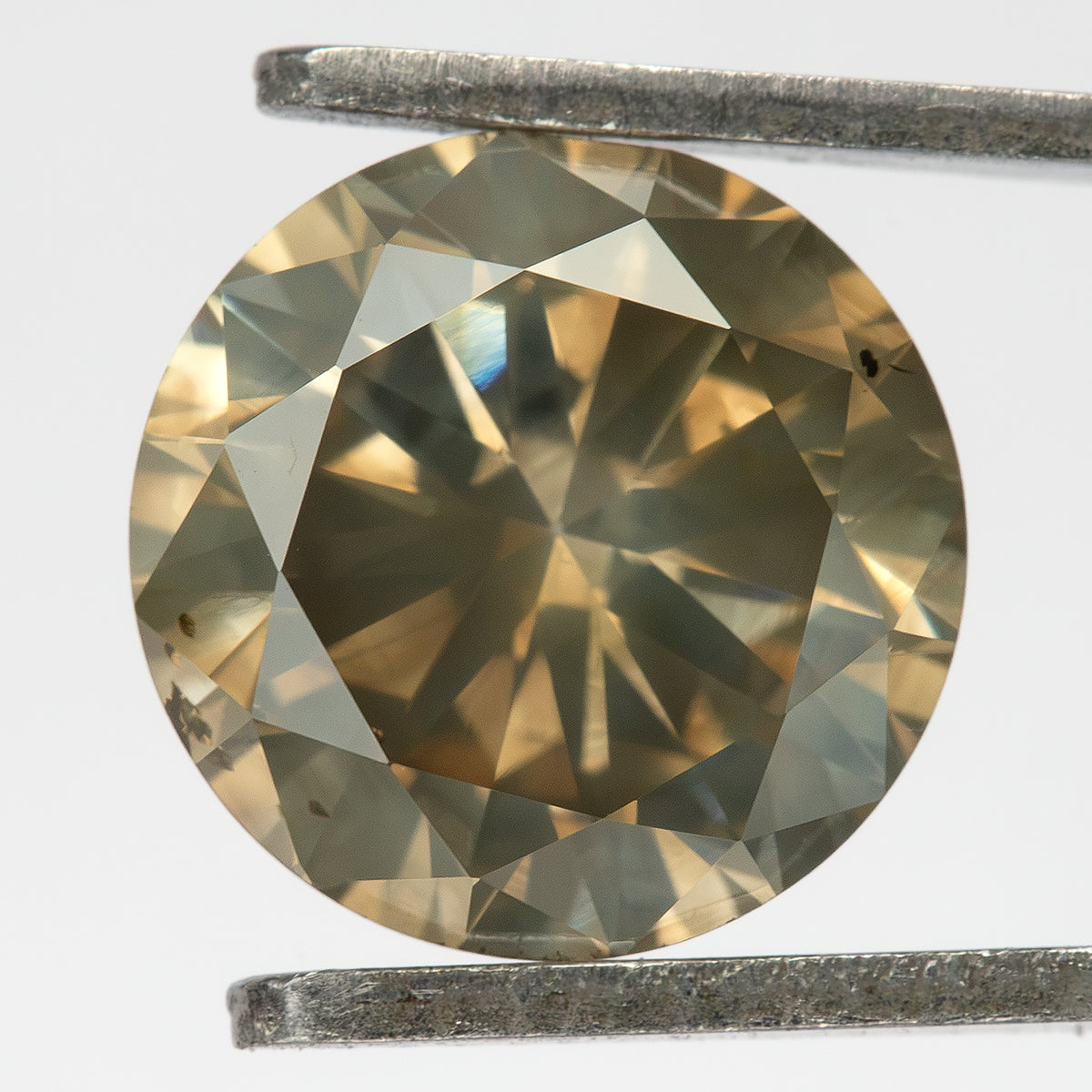 KL444 held face-up in tweezers, showing its circular outline, champagne-brown appearance and olive-gray facet reflections.