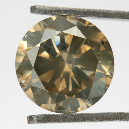 KL444 held face-up in tweezers, showing its circular outline, champagne-brown appearance and olive-gray facet reflections.