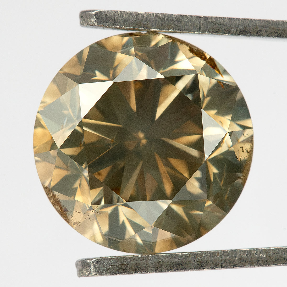 Face-up view of the round brilliant diamond held in tweezers, showing olive champagne-brown color, bright pale-yellow facets, gray-green reflections and visible brown girdle features.