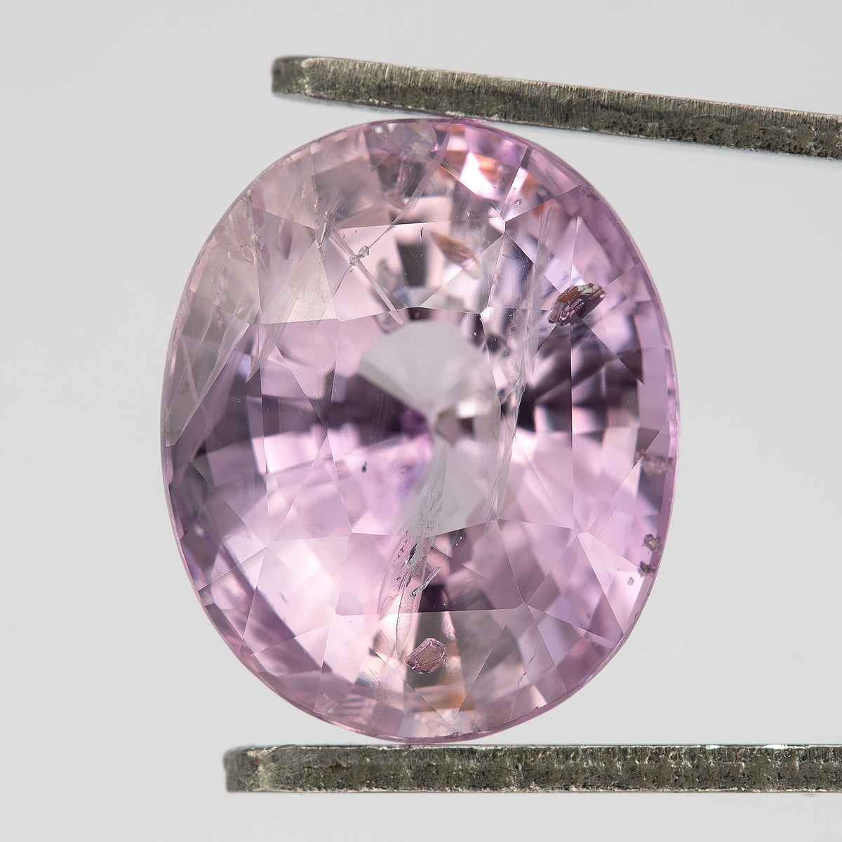 Pink oval sapphire held upright in tweezers, with the crown, table and visible internal features in view.
