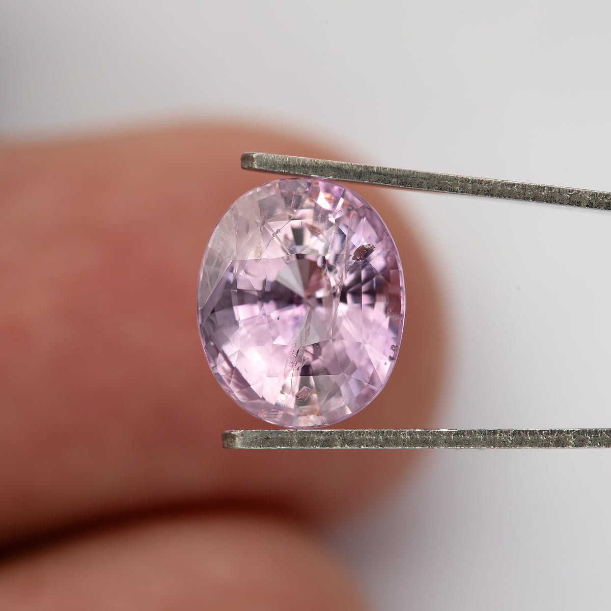 The pink oval sapphire face-up in tweezers, with a fingertip behind it for scale.