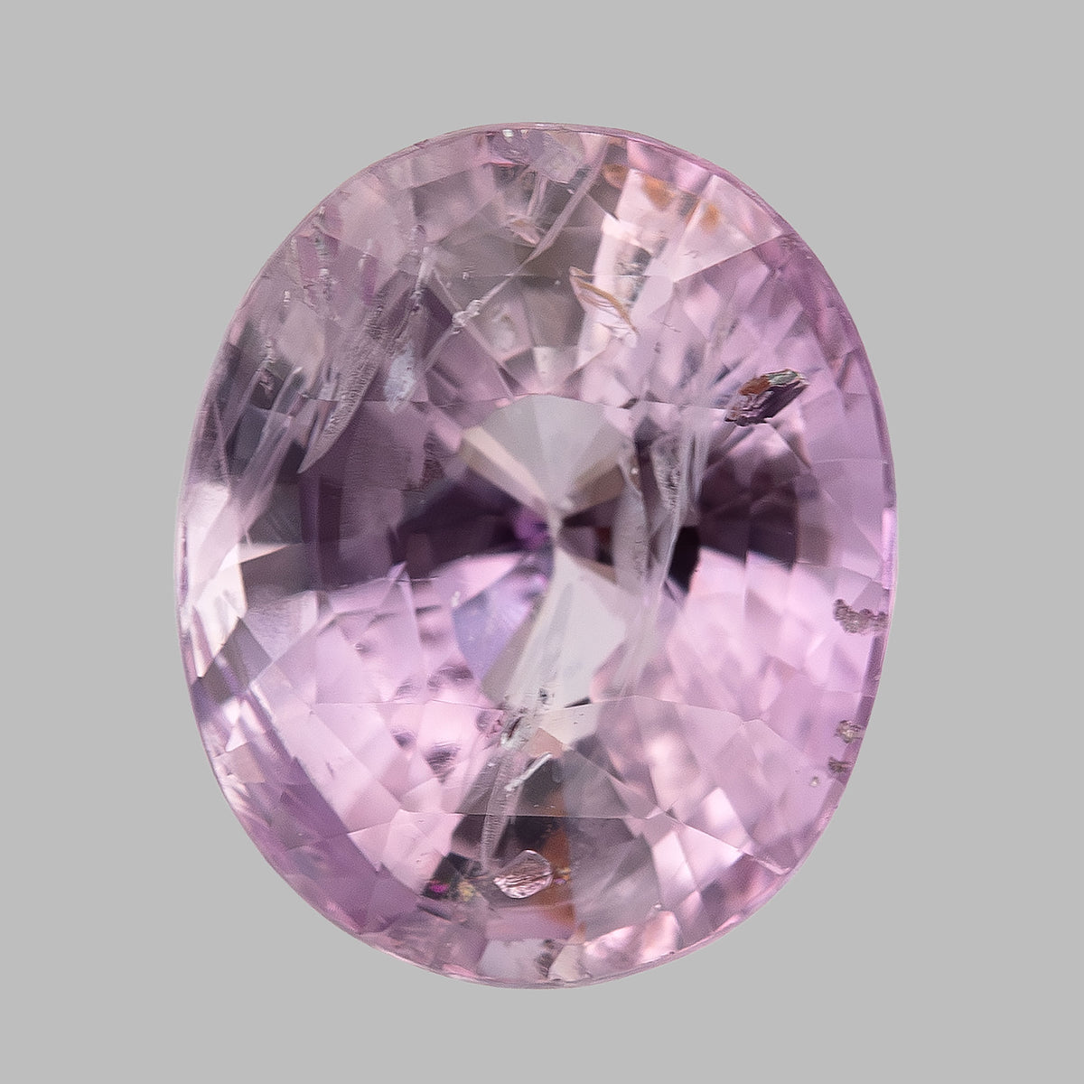 The pink oval sapphire upright on white, showing the crown-side outline and dark reflections across the included interior.