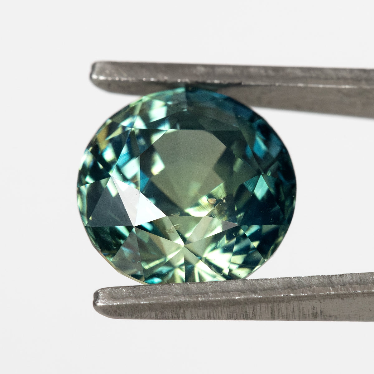 Round sapphire held in tweezers against a white background.