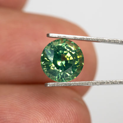 Round olive teal green sapphire held in tweezers between fingers to show scale.