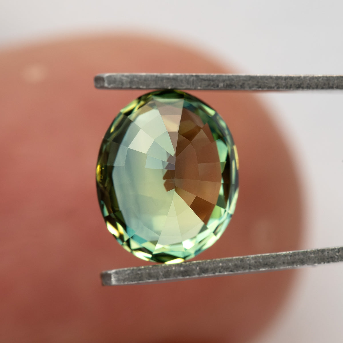 Pavilion-facing sapphire between tweezers in front of a fingertip, showing approximate scale and back facets.
