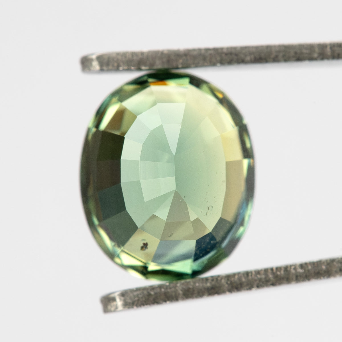Oval teal blue-green sapphire held in tweezers, viewed face-up, showcasing its facets and color transitions.