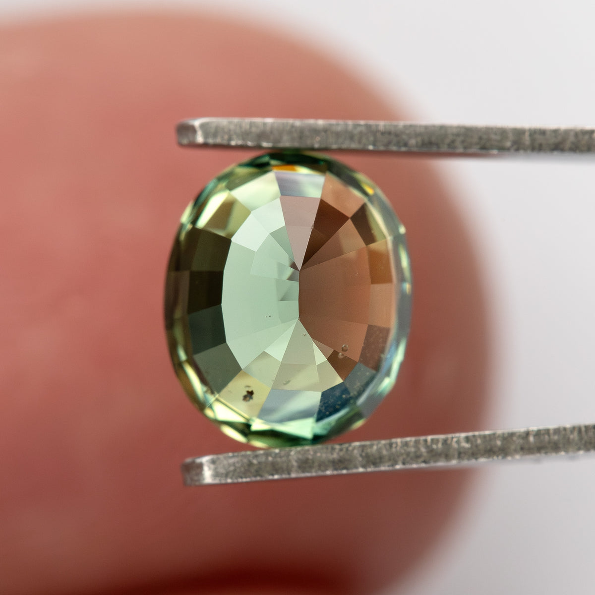 Oval-shaped teal blue-green natural sapphire held in tweezers against a blurred background.