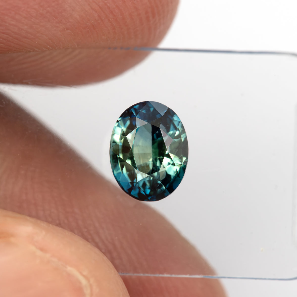Oval sapphire held vertically between fingertips, showing the face-up outline for scale.