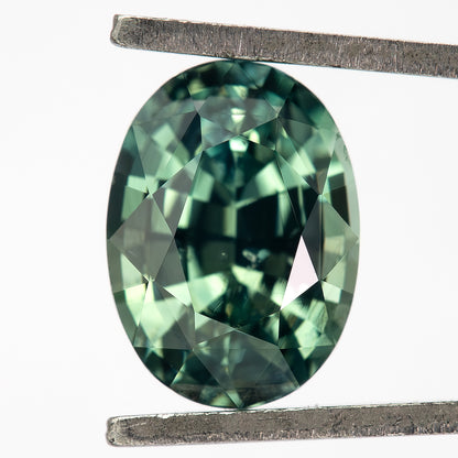 Teal-green oval sapphire upright in tweezers, with bright green facets around a darker central reflection.