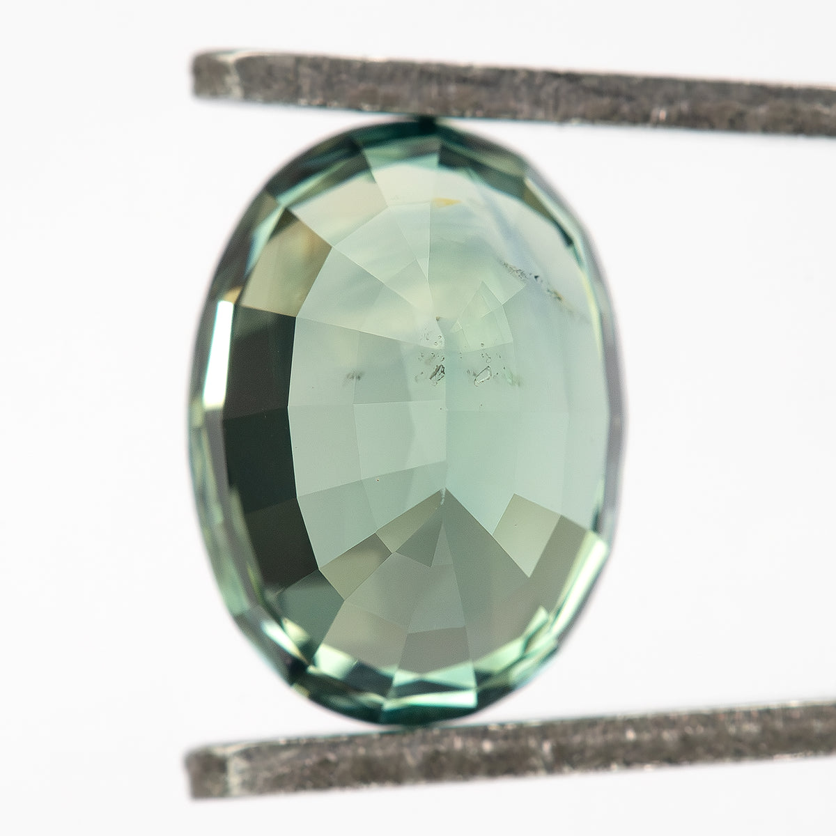 Pale back view of the teal-green oval sapphire held vertically in tweezers.