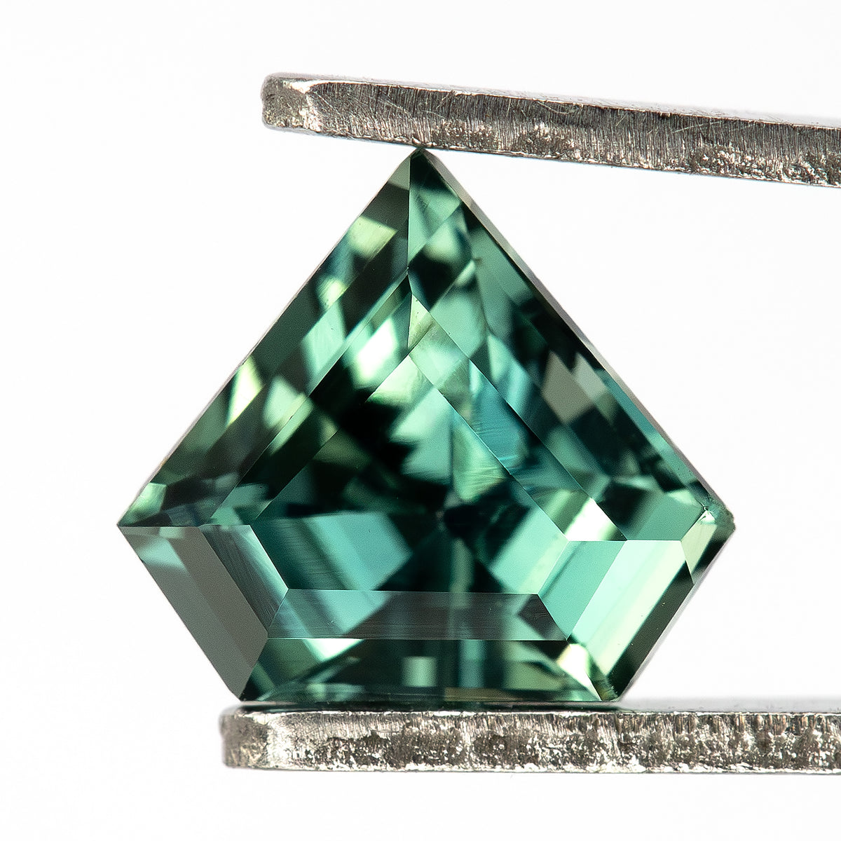 Face-up view of the shield sapphire held in tweezers, showing the full outline and teal-green color.