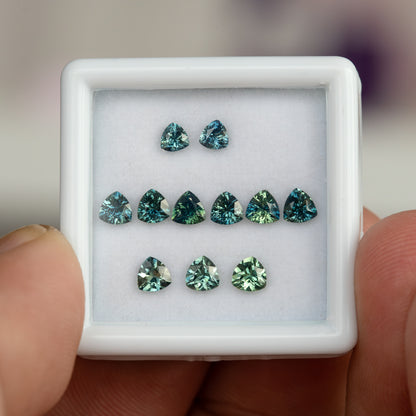 Natural teal trillion sapphires arranged face-up in a display box and held between fingers for scale.