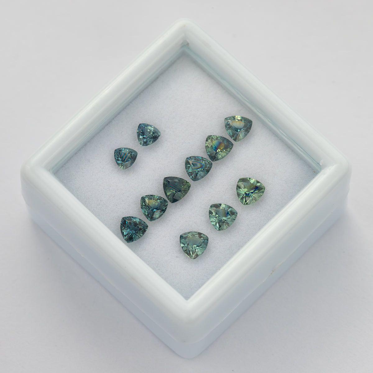 Angled display-box view of the natural teal trillion sapphires showing changes in reflection and green-blue appearance.