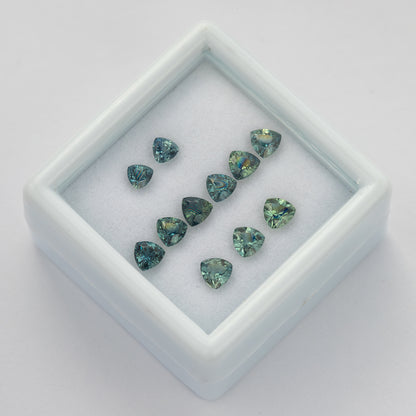 Angled display-box view of the natural teal trillion sapphires showing changes in reflection and green-blue appearance.