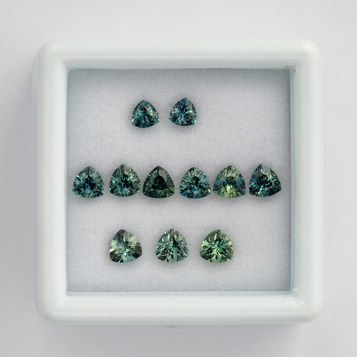 Front-facing box view of the natural teal trillion sapphire lot arranged in three size groups, with visible color variation.