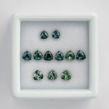 Front-facing box view of the natural teal trillion sapphire lot arranged in three size groups, with visible color variation.