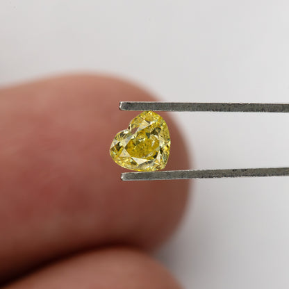 Small yellow heart-shaped diamond in tweezers against blurred fingers, giving a sense of its real-life scale.