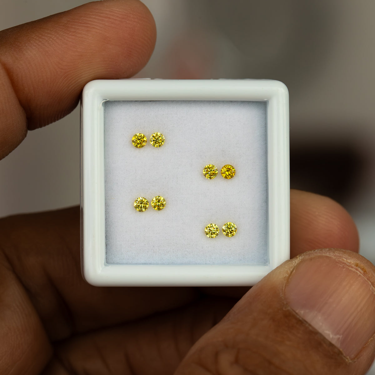 Hand-held size view of the four yellow diamond pairs in their white tray.