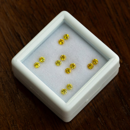 Angled white tray of six yellow diamond pairs on a wood surface.