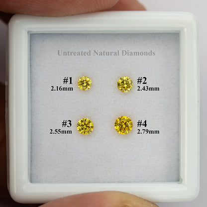 Hand-held numbered tray displaying the four individual yellow diamonds and their sizes.