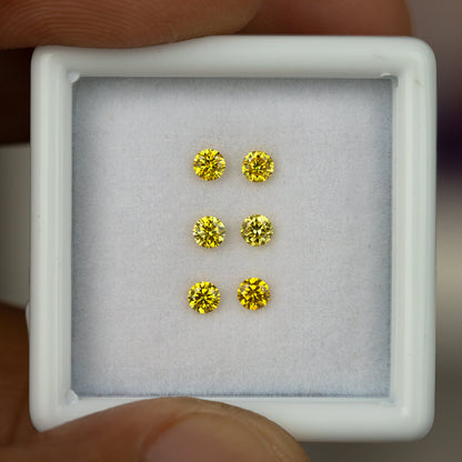 Close face-up view of three yellow diamond pairs in a white tray held by fingers.