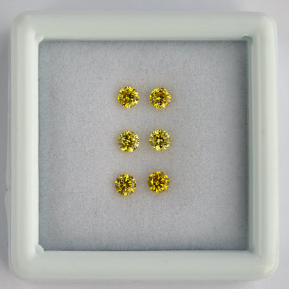 Centered white tray displaying three horizontal rows of yellow diamond pairs.