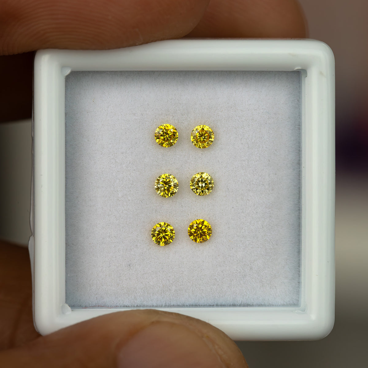 Close hand-held front view of the white tray with three yellow diamond pairs.