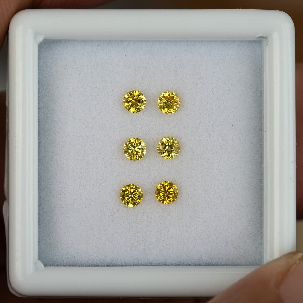 Front face-up view of the three yellow diamond pairs within the white tray rim.